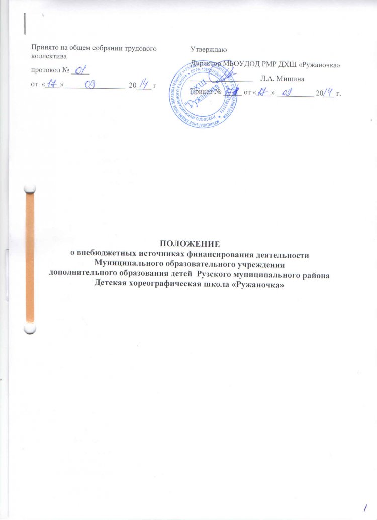 polozhenie o vnebyudzhetnykh istochnikakh finansirovaniya deyatel nosti